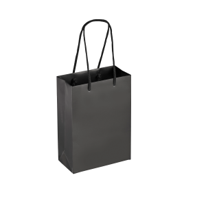 Boutique Shopping Bags Black – Laminated (Small) [Min. Order Qty: 100 Bags]