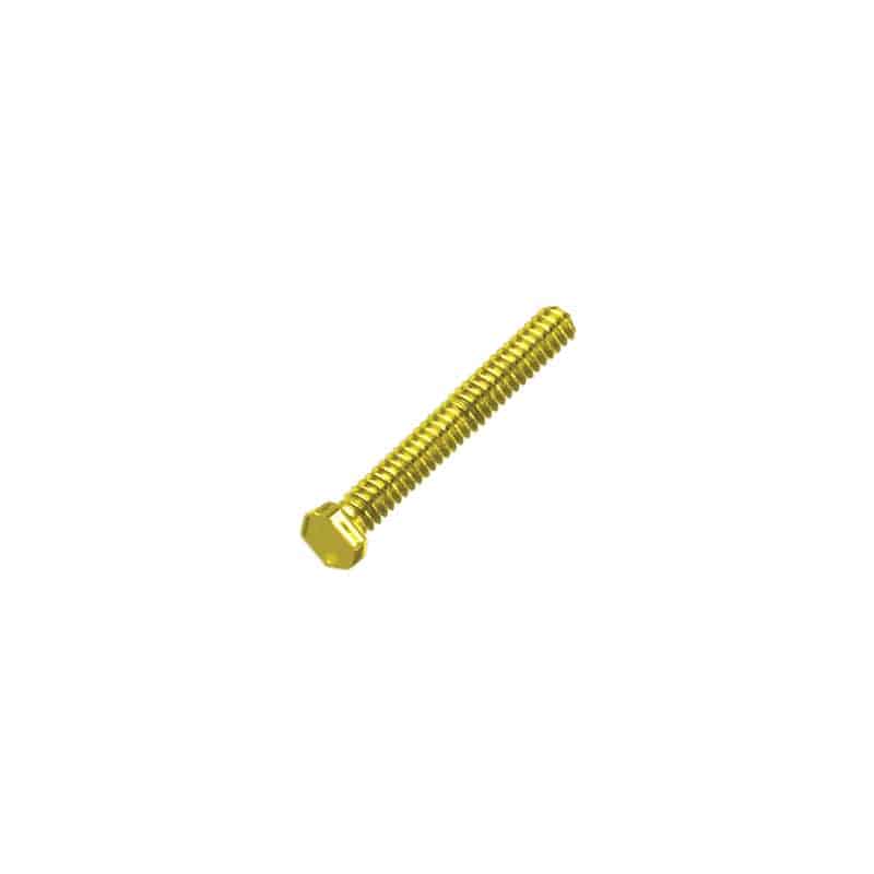 Gold-Rimless-Trim-Screws-Hexagonal_ccf3a125-e723-4345-8132-9b396a4c1f02