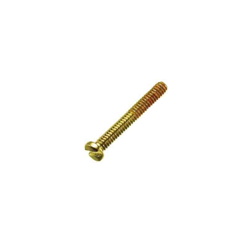Gold-Rimless-Trim-Screws-Slotted_d0f79673-0c3c-4c5d-9d1f-067058bfc057