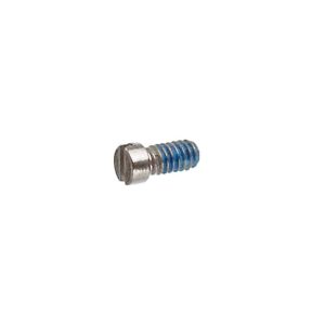 Silver B&L Eyewire Screw