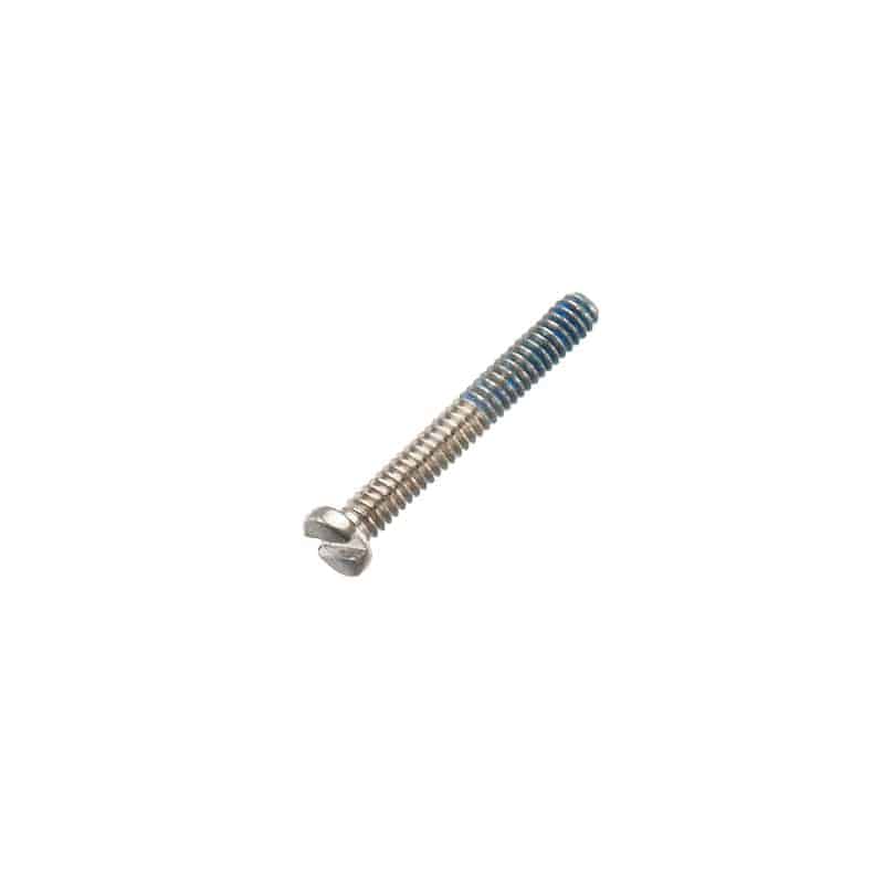 Silver-Rimless-Trim-Screws-Slotted_3b545da4-5e31-446f-afe6-8d4a819c606f