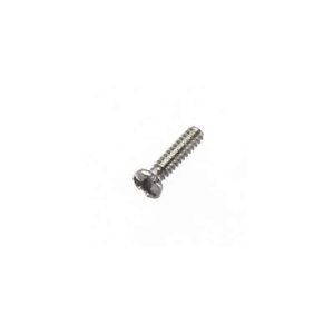 Silver Phillips Eyewire Screw